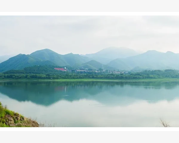 肺局部纤维化痰多：中医角度解读肺部纤维症状及调理方法